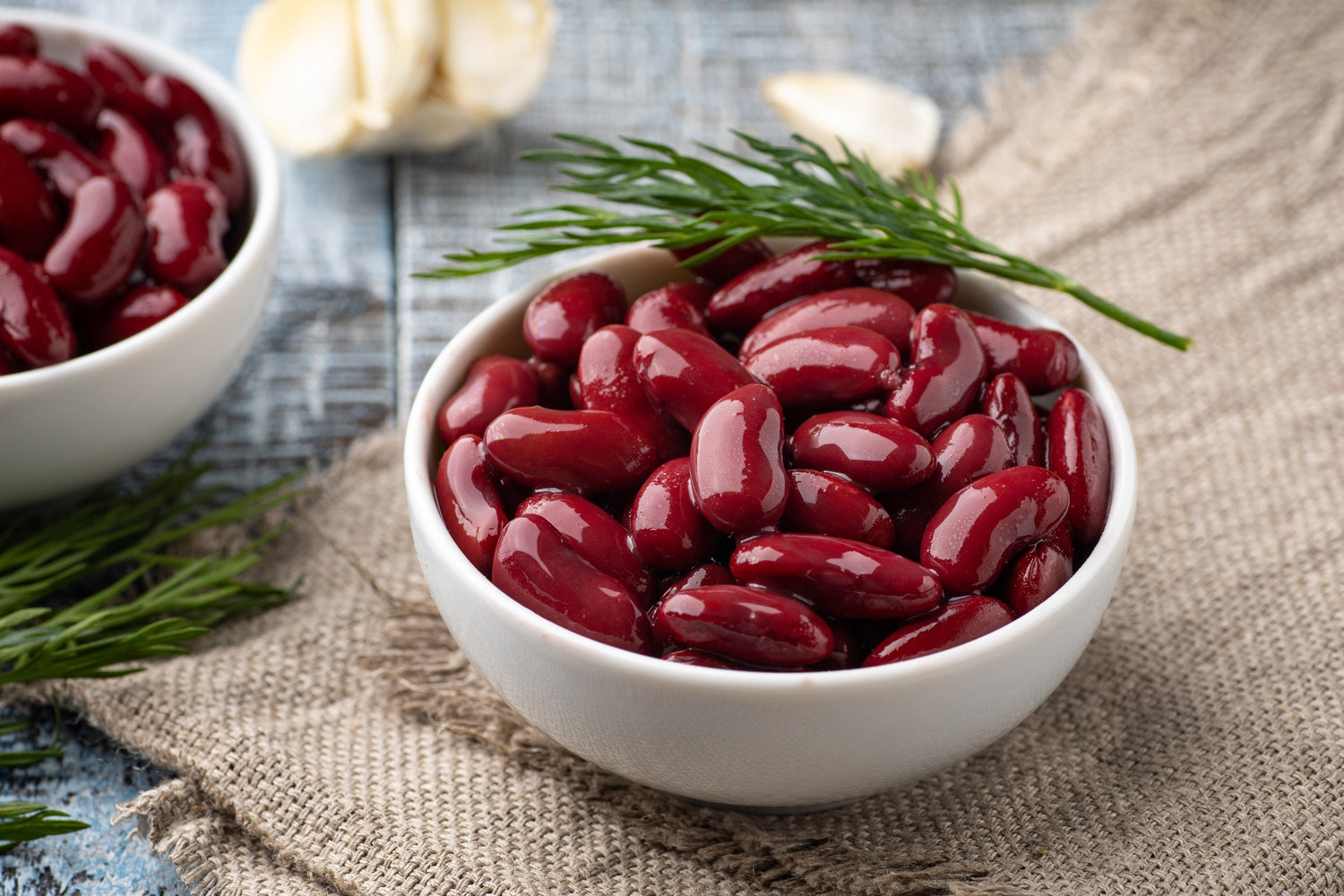 30 semillas de frijol rojo Phaseolus Vulgaris
