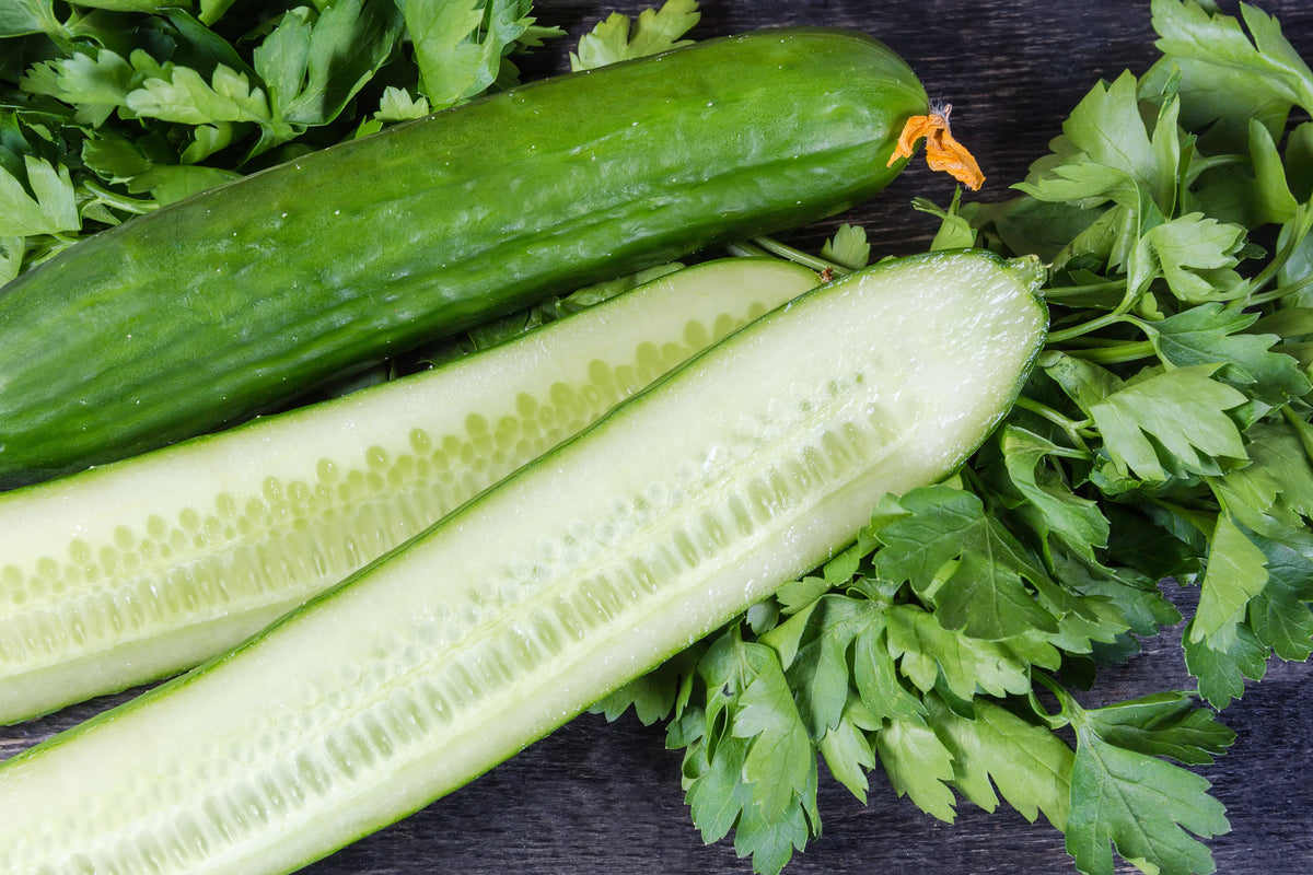 30 semillas de pepino inglés Cucumis sativus, fruta vegetal sin eructos