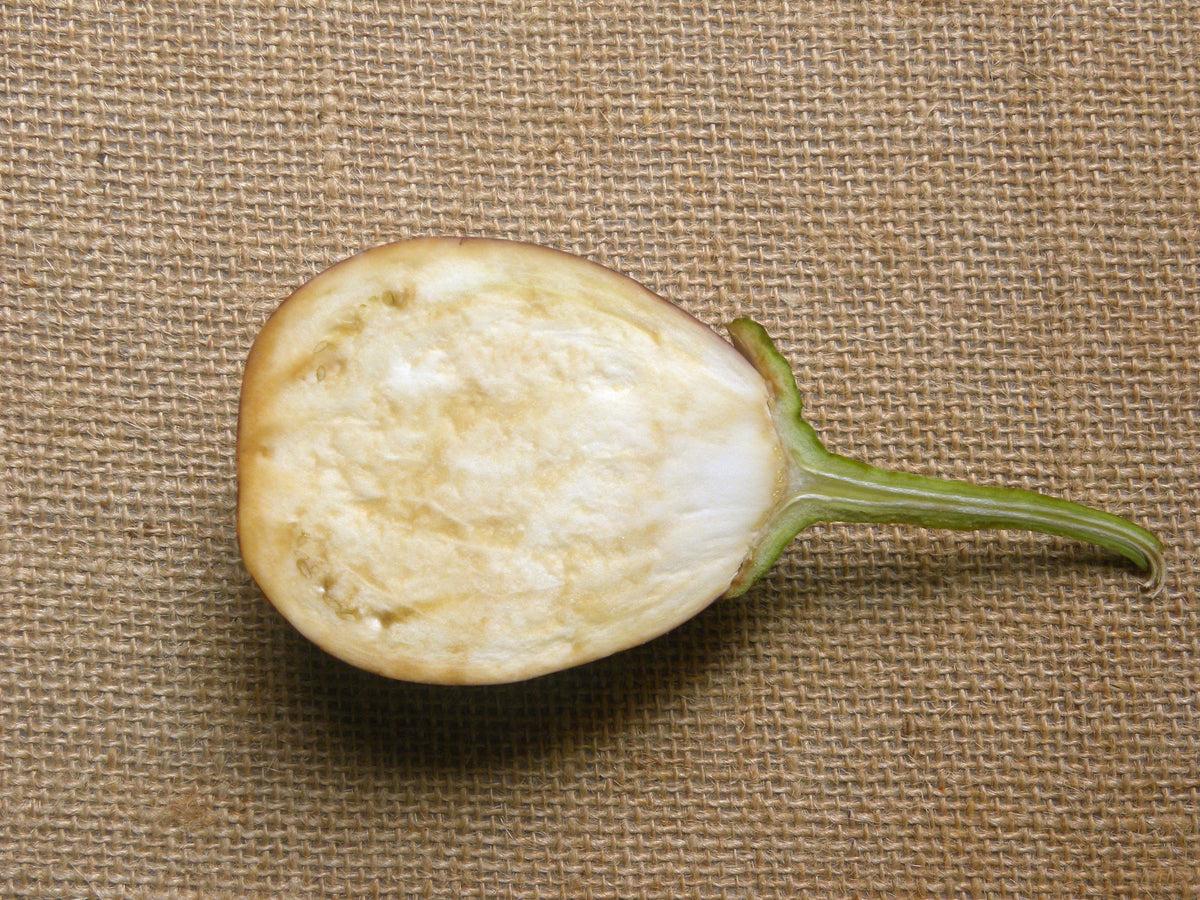50 semillas orgánicas italianas de berenjena rosa blanca Solanum melongena esculentum