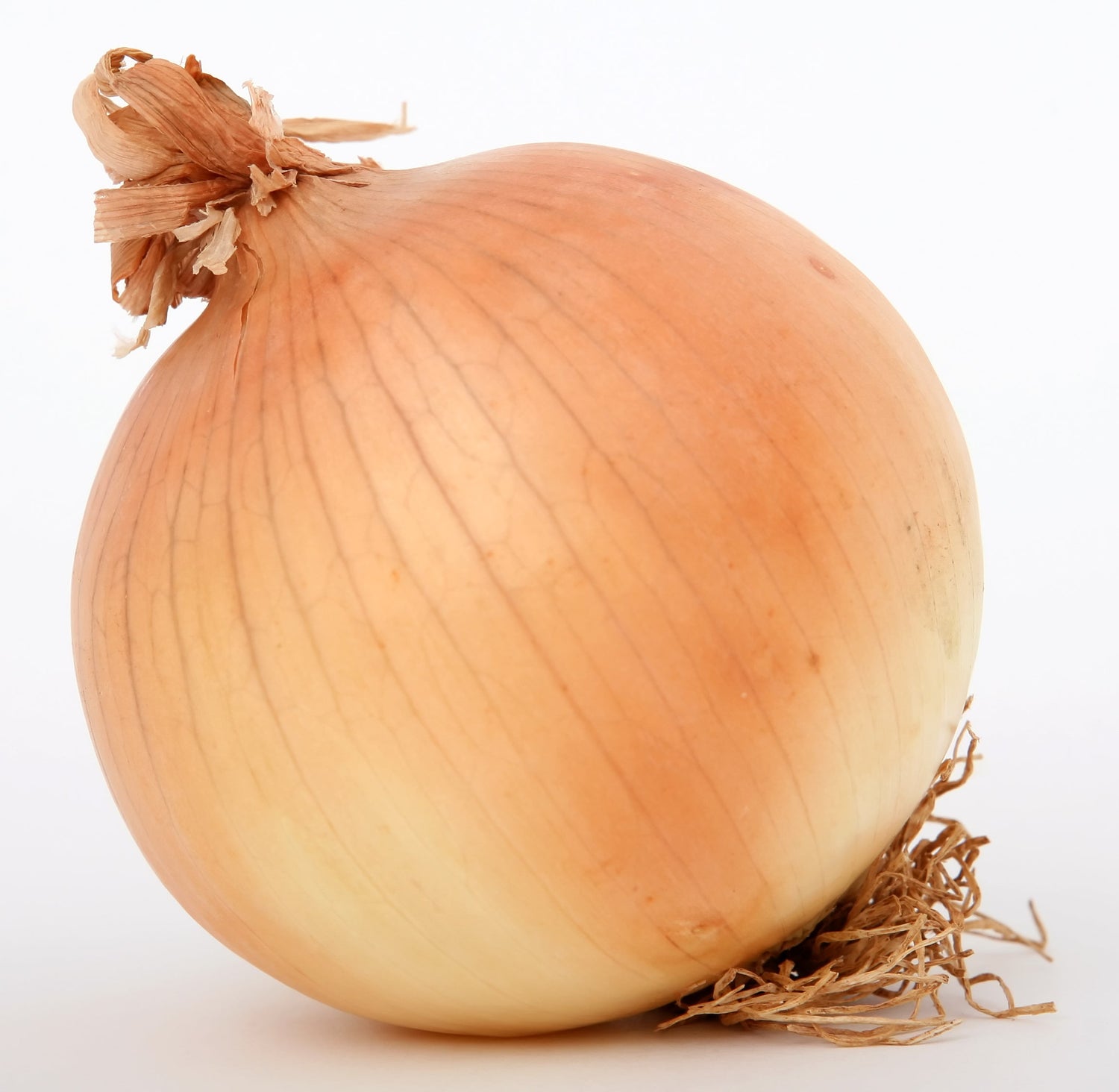 250 semillas de cebolla dulce WALLA WALLA (Allium Cepa)