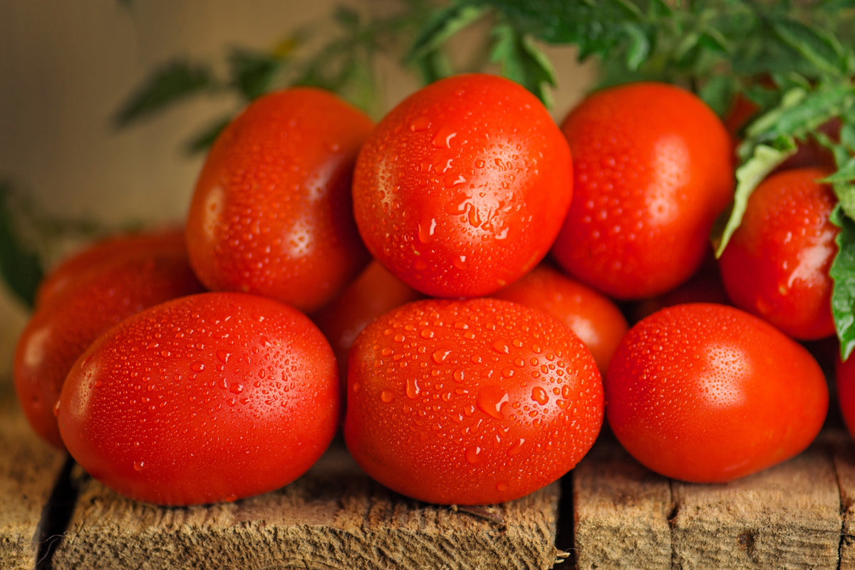 50 semillas orgánicas de tomate en pasta AMISH, tipo Roma, Lycopersicon, fruta y verdura.