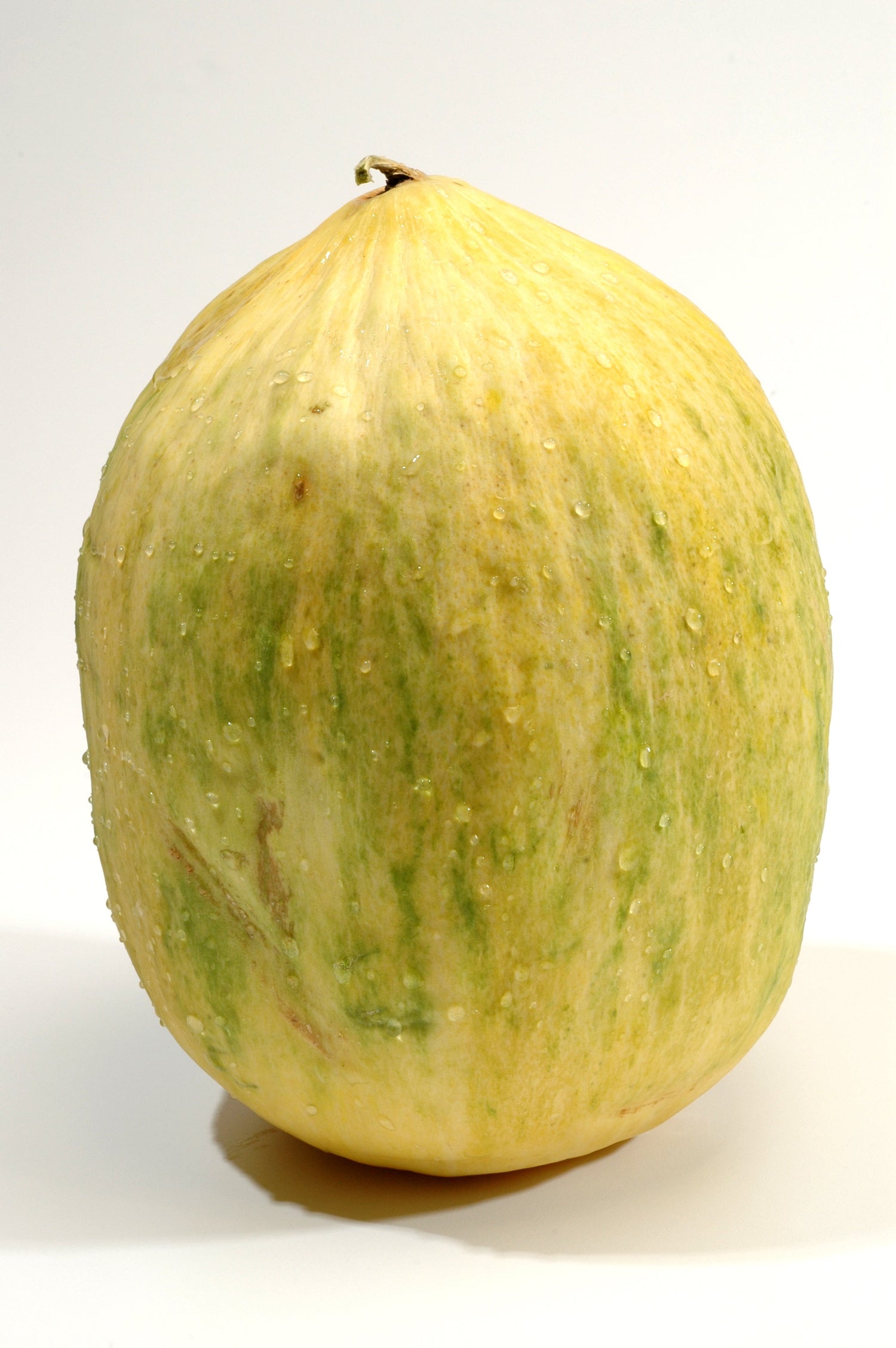 30 semillas de melón CRENSHAW (melón almizclero / melón de invierno / Cranshaw) Cucumis Melo