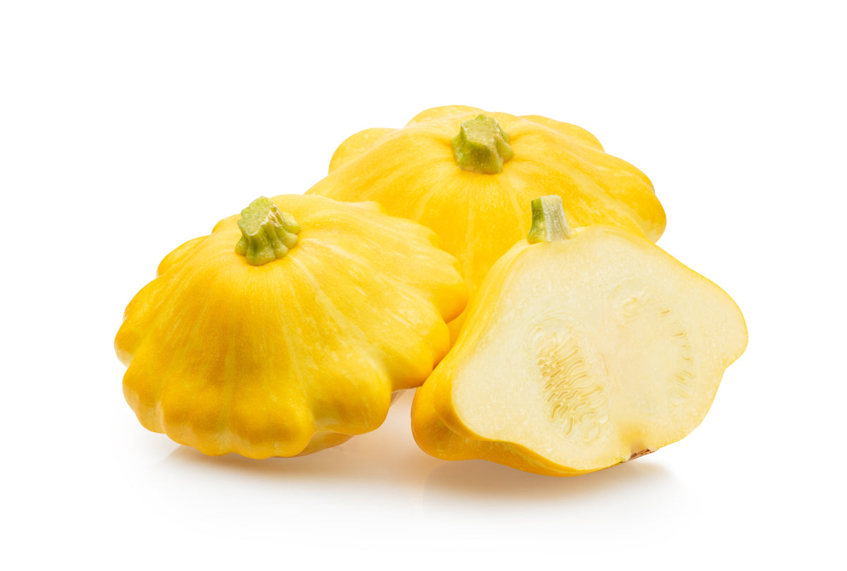 10 semillas de calabaza vieira amarilla dorada (calabaza Patty Pan / Paty Pan / Squanter) de verano Cucurbita Pepo