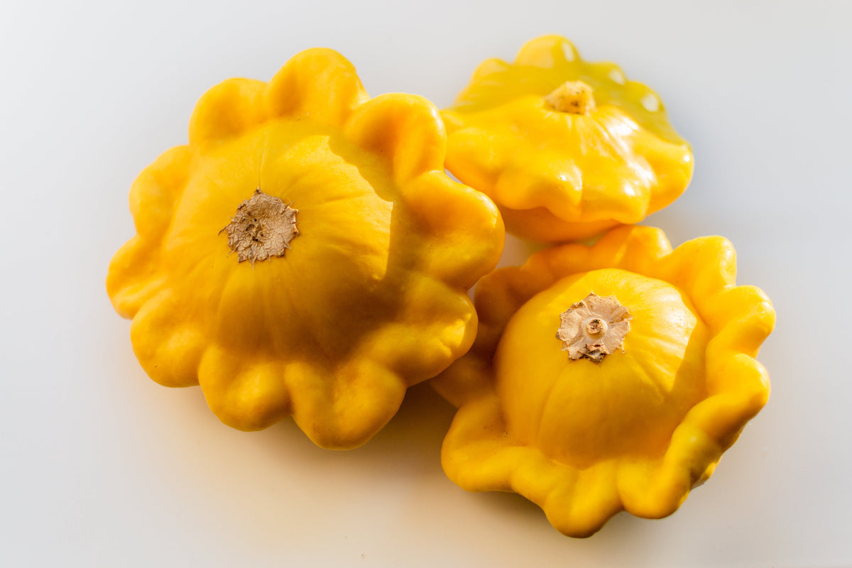 10 semillas de calabaza vieira amarilla dorada (calabaza Patty Pan / Paty Pan / Squanter) de verano Cucurbita Pepo