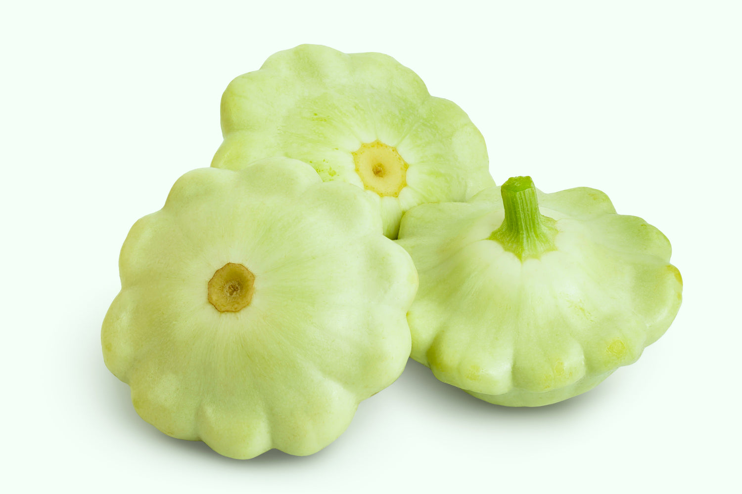 20 Semillas de Calabaza Vieira de Arbusto de Color Verde (Calabaza Patty Pan / Paty Pan / Calabaza Squanter) Cucurbita Pepo de Verano