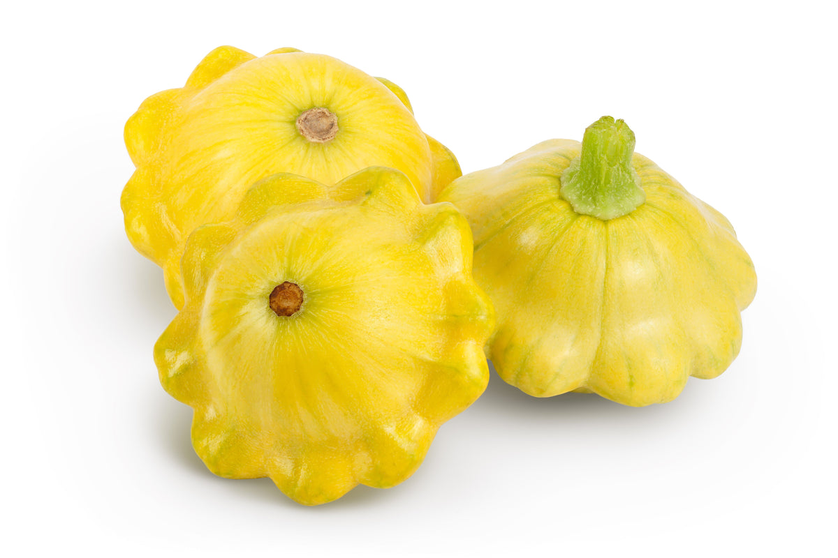 10 semillas de calabaza vieira amarilla dorada (calabaza Patty Pan / Paty Pan / Squanter) de verano Cucurbita Pepo