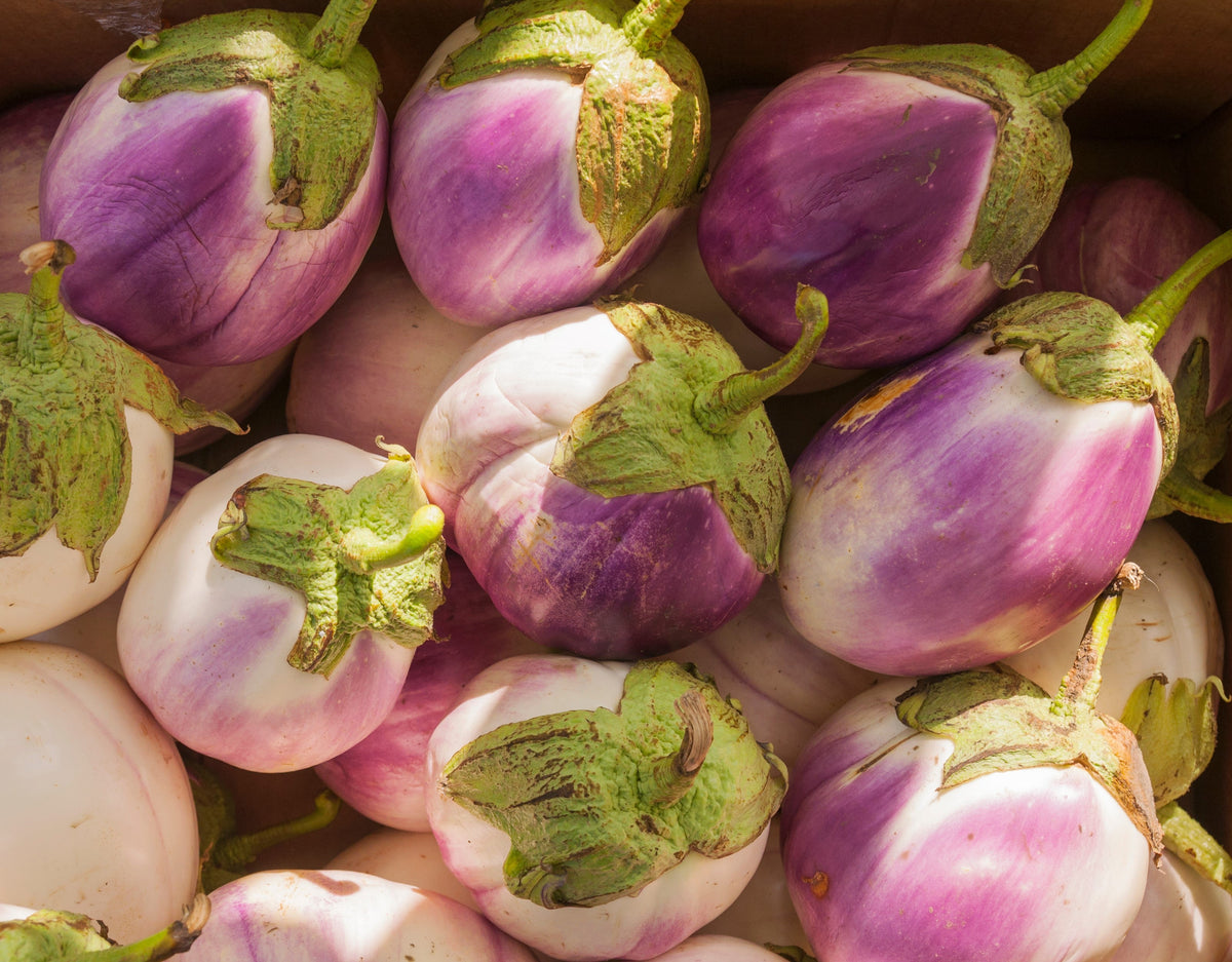 50 semillas orgánicas italianas de berenjena rosa blanca Solanum melongena esculentum