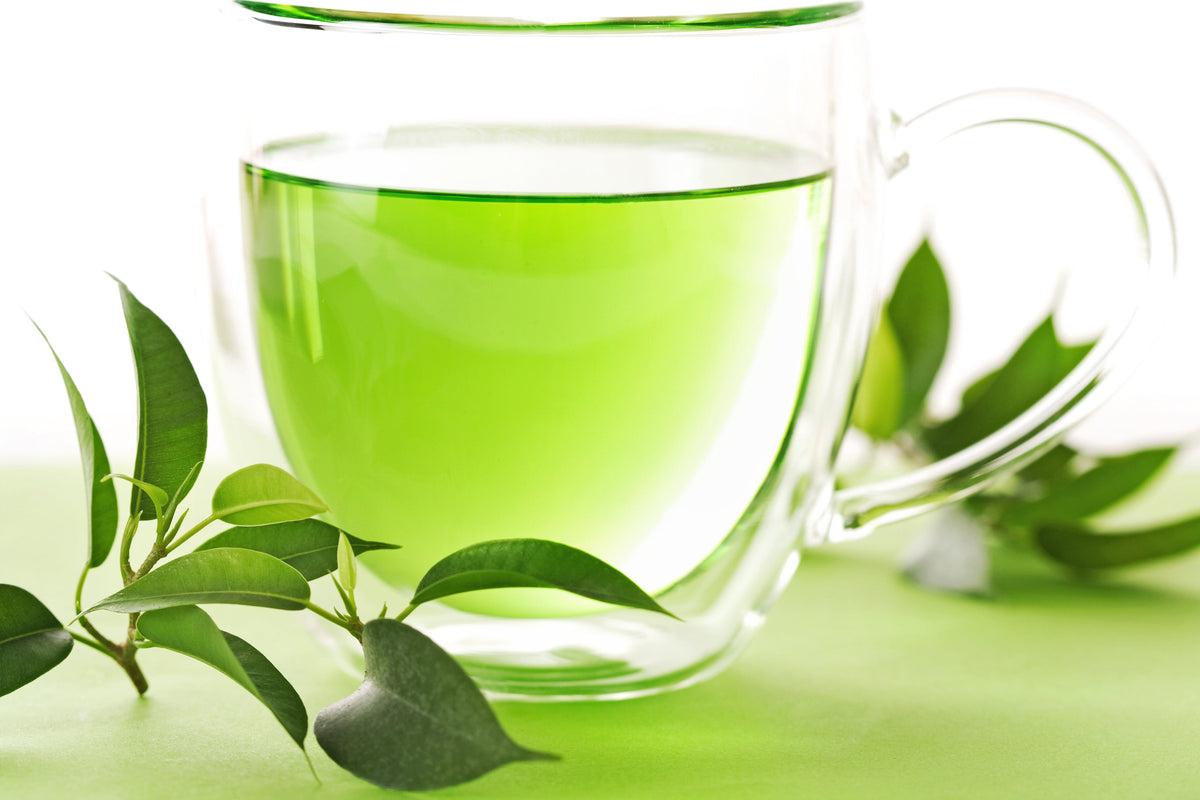 1 lb a granel PLANTA DE TÉ TÉ NEGRO Y VERDE PARA BEBER Camellia Sinensis Árbol Arbusto Hierba Flor - Aprox. 385 Semillas