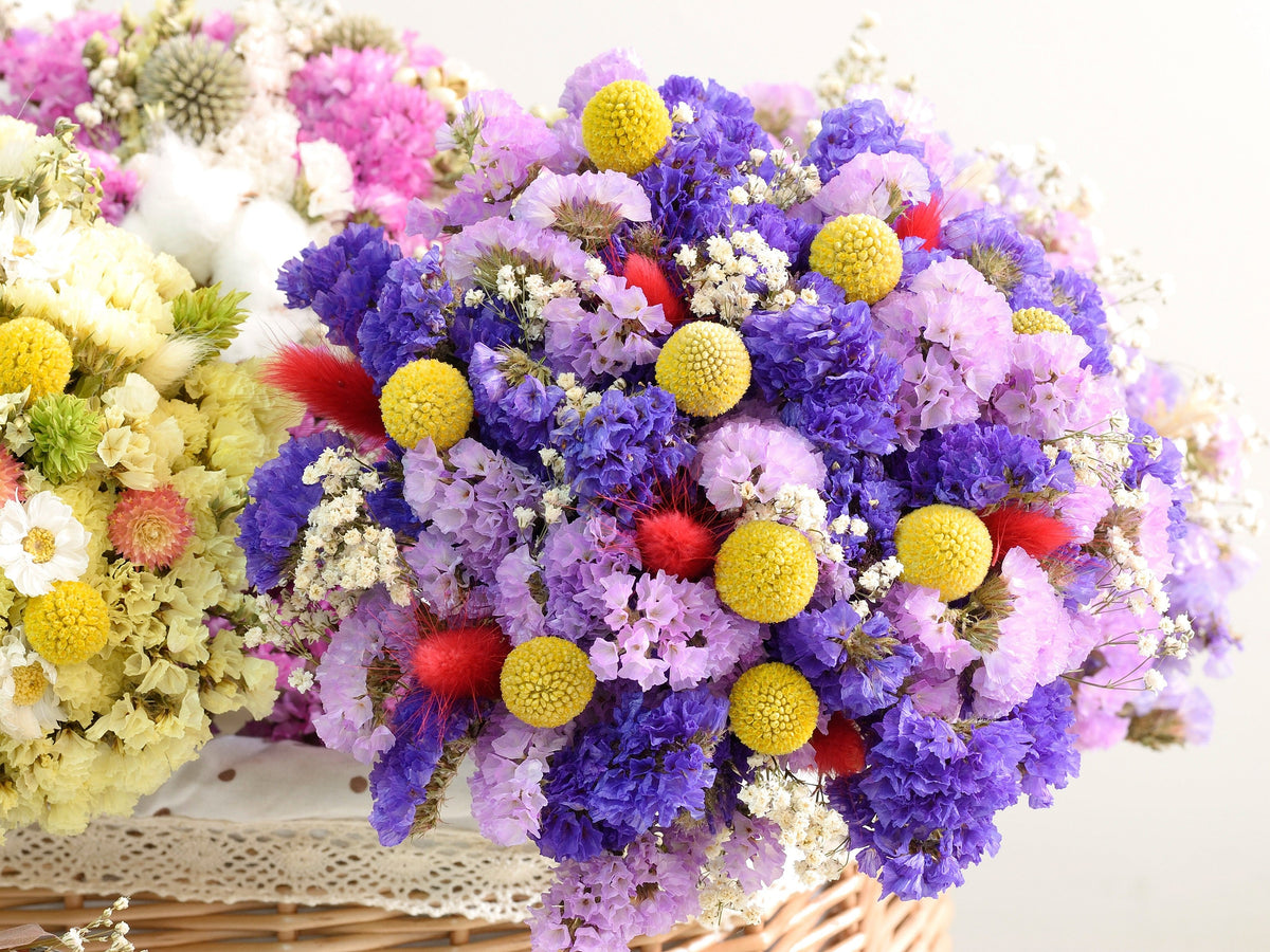 50 Pacific Mix STATICE SINUATA Mixed Colors (Sea Lavender) Limonium Latifolia Flower Seeds