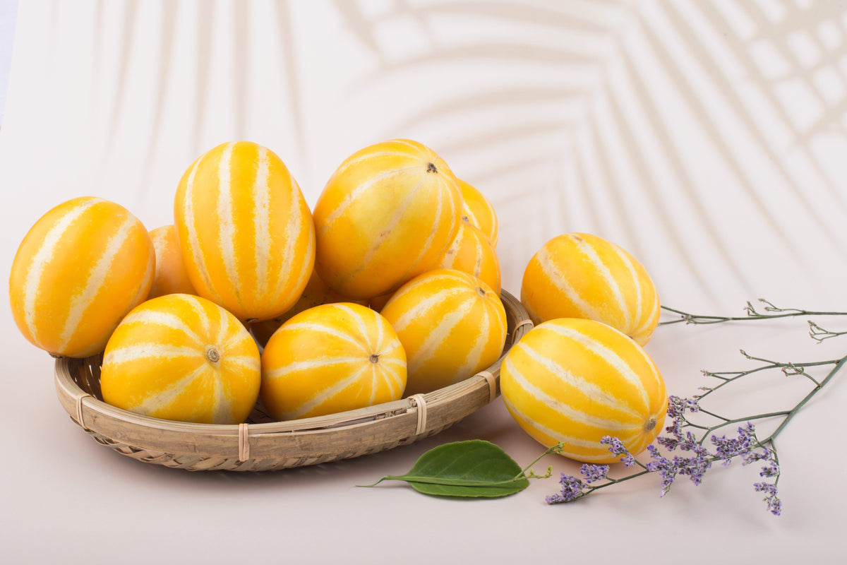 50 MELÓN DE LÍNEA PLATA TEMPRANA Cucumis Melo Piel con rayas amarillas Pulpa blanca Semillas de fruta coreana