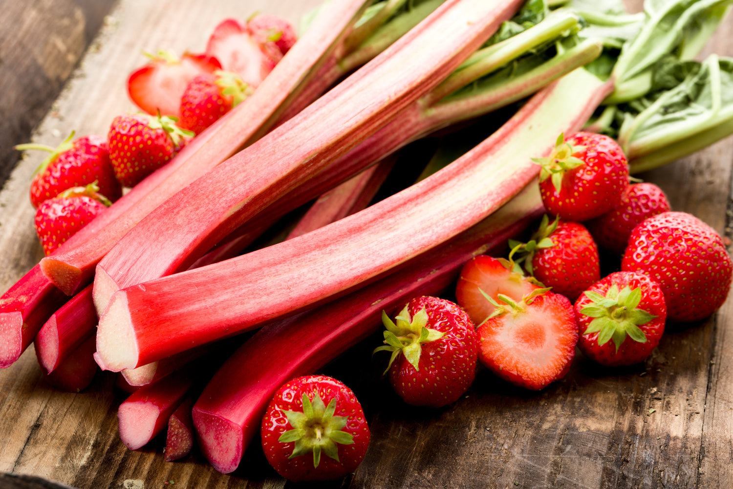 25 VICTORIA RHUBARB también conocido como Pieplant Rheum Rhabarbarum Semillas de hortalizas de frutas perennes