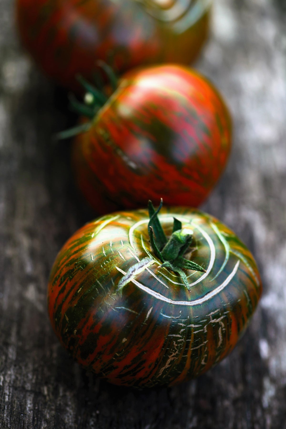 50 TOMATE RAYAS DE CHOCOLATE Marrón con Semillas de Verduras de Frutas Lycopersicon Verdes
