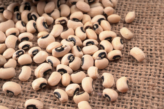 100 BLACKEYE PEA (guisante de vaca / caupí / guisante del sur / guisante de ojos negros / guisante de ojo negro) Semillas vegetales de Vigna Unguiculata