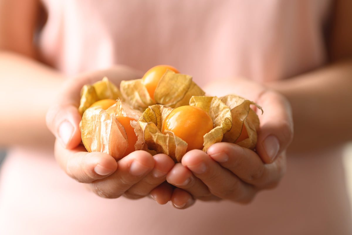 50 PIÑA TOMATILLO Tomate Amarillo Physalis Ixocarpa Fruta Semillas de Vid