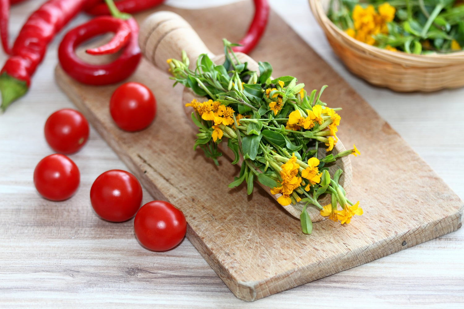 300 semillas de hierba de flor de CALÉNDULA de Menta MEXICANA Estragón Español Tagetes Lucida