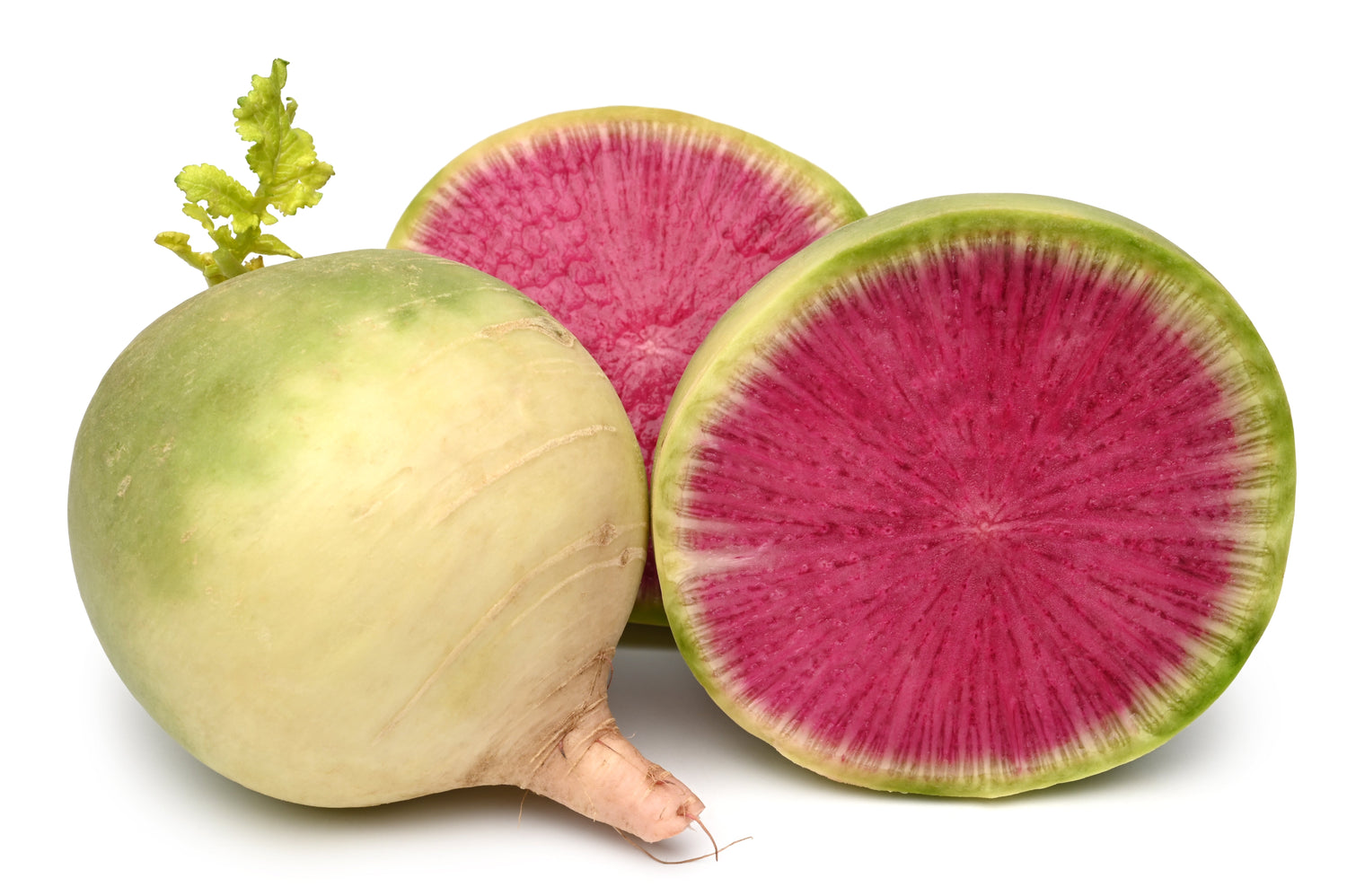 300 semillas de rábano sandía Beauty Heart Raphanus Sativus rosa y blanco