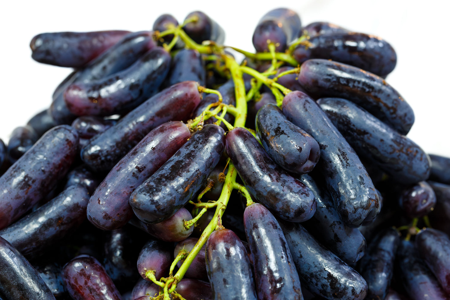 5 semillas de vid de fruta Vitis viniferia de UVA DEDO NEGRO