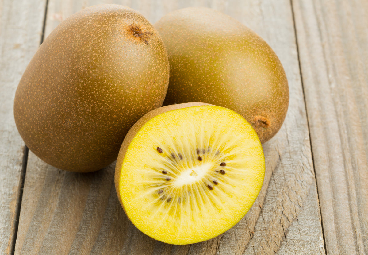 50 KIWI DORADO Kiwi amarillo Actinidia Chinensis Semillas de vid de flor de grosella espinosa china