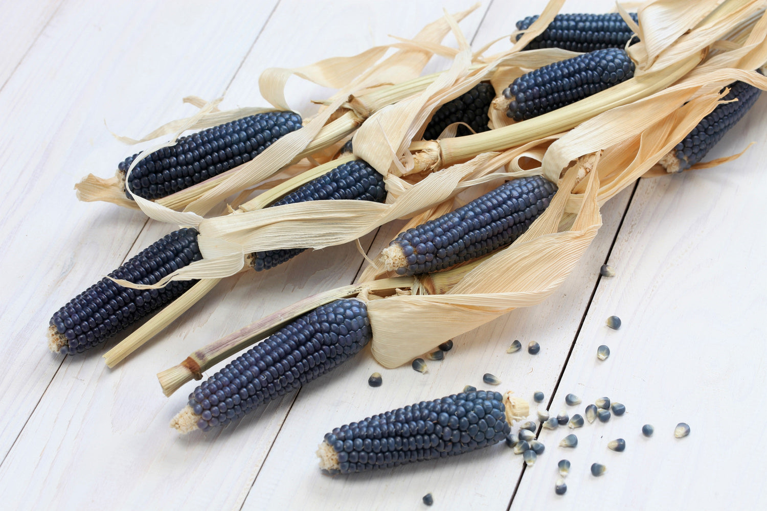 50 PALOMITAS DE MAÍZ AZULES Granos azules Palomitas de maíz blanco Semillas de hortalizas Zea Mays