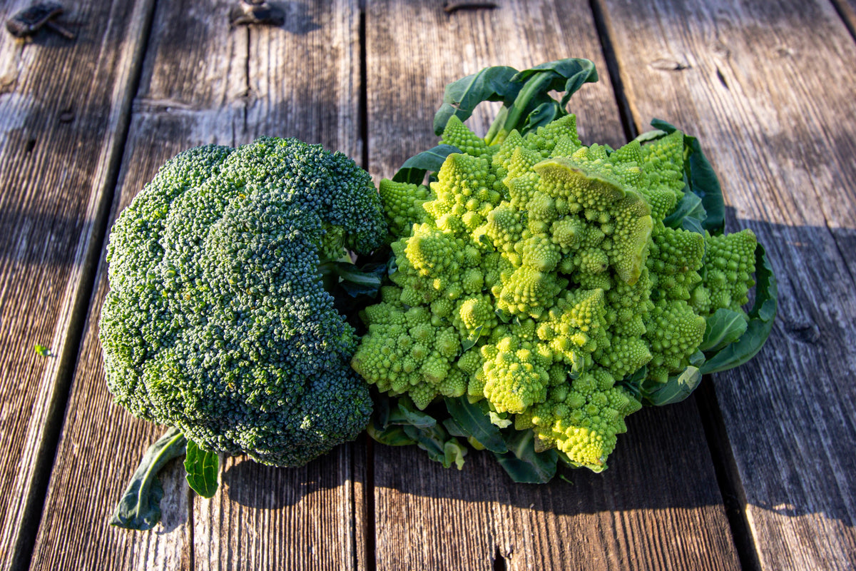 500 BRÓCOLI ROMANO Brócoli Coliflor Romana Brócoli Pirámide Brassica Oleracea Semillas de Hortalizas