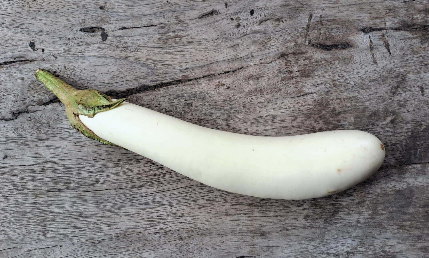 40 White Star FINGER FRUIT BERENJENA Solanum Melongena Berenjena Fruta Semillas de Verduras