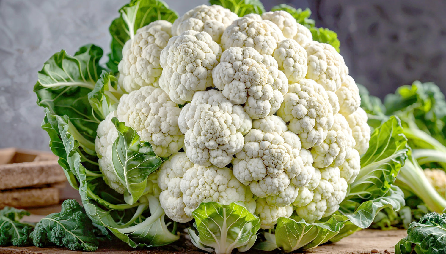 250 semillas de coliflor bola de nieve Brassica oleracea Botrytis