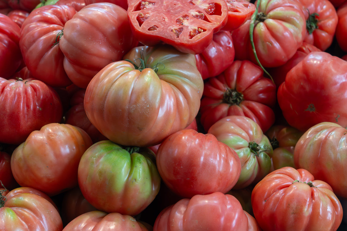 50 semillas gigantes de tomate rosa belga de piel rosada, Lycopersicon, fruta y verdura.
