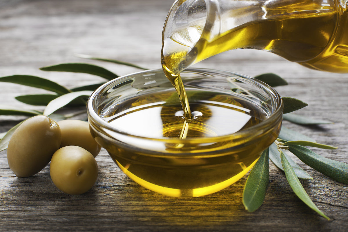 10 OLIVO CANINO Olea Europaea Canino Semilla de fruto verde negro común europeo comestible