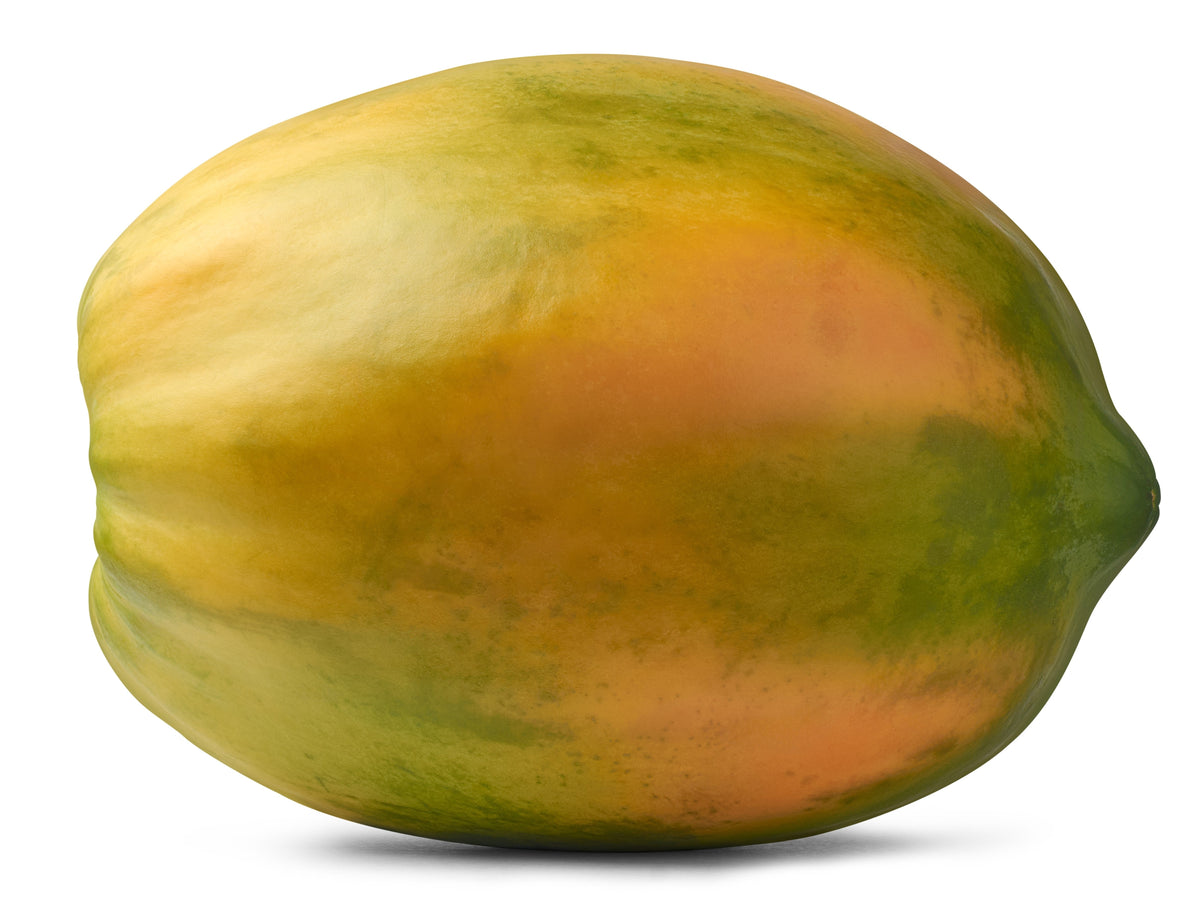 10 semillas de papaya waimanalo enana (árbol frutal hawaiano Carica) para interiores