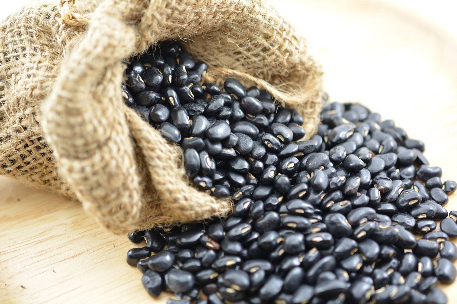 50 semillas de frijol negro (frijol tortuga negro) Phaseolus vulgaris