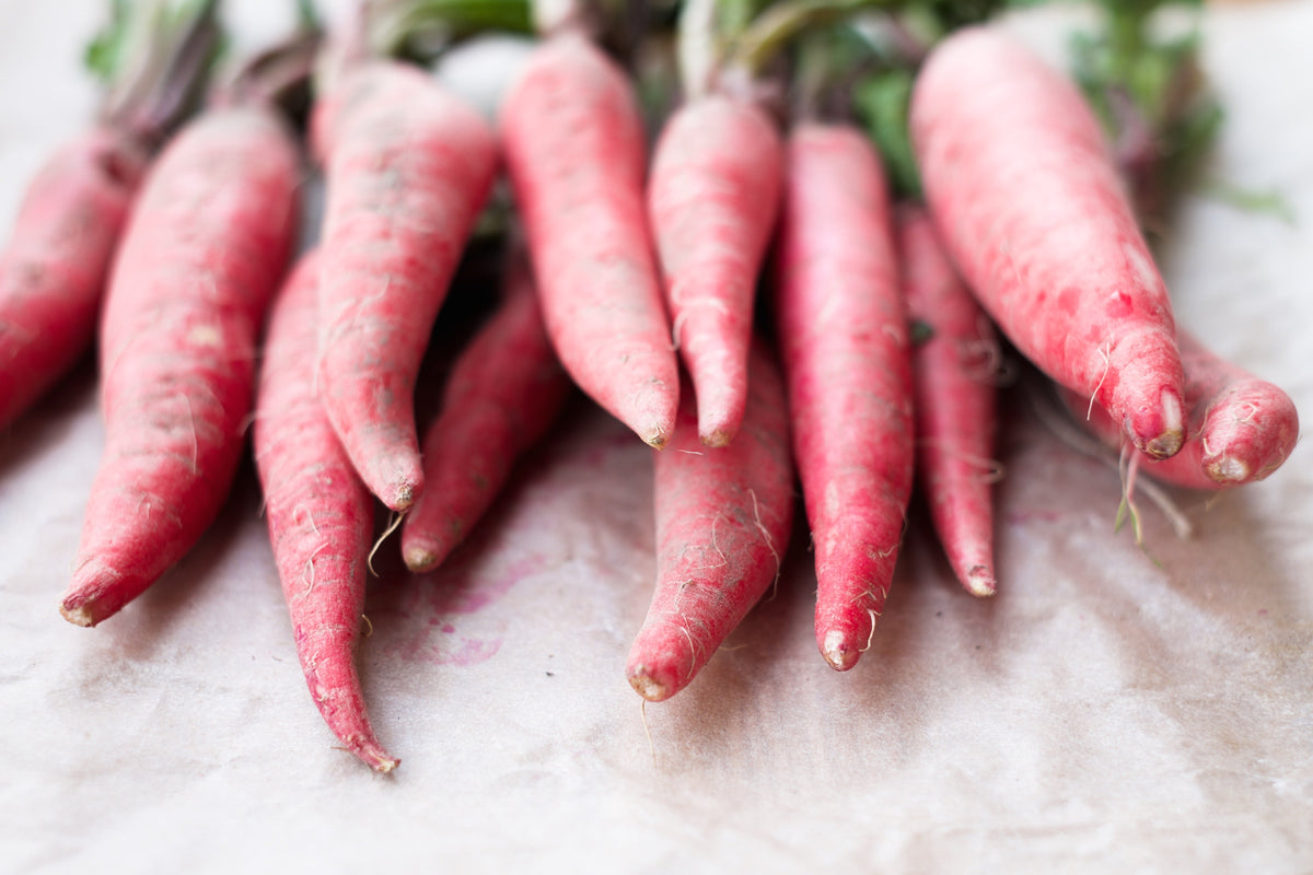 100 semillas de rábano rosa chino (rábano chino de invierno) Raphanus sativus