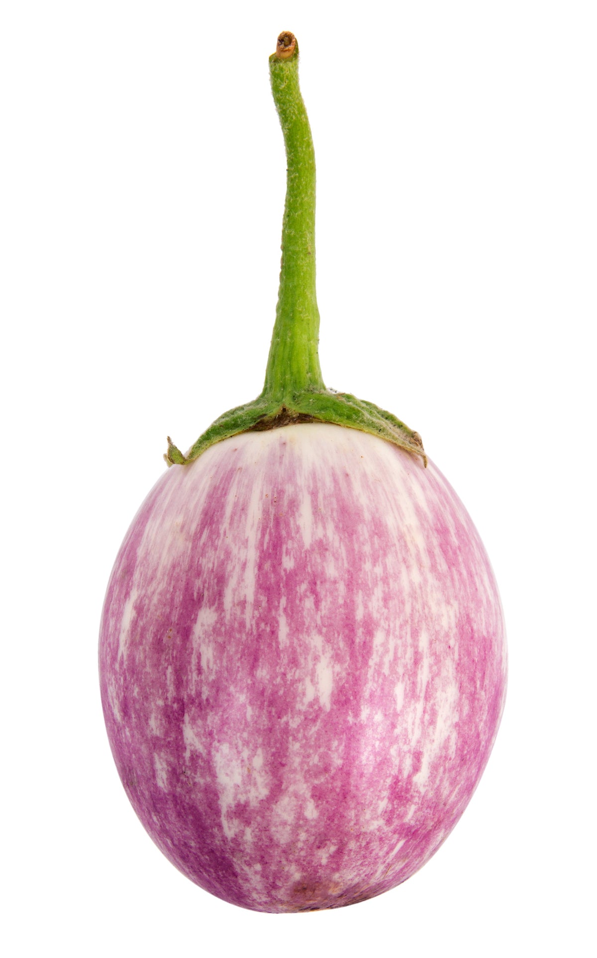 50 semillas orgánicas italianas de berenjena rosa blanca Solanum melongena esculentum
