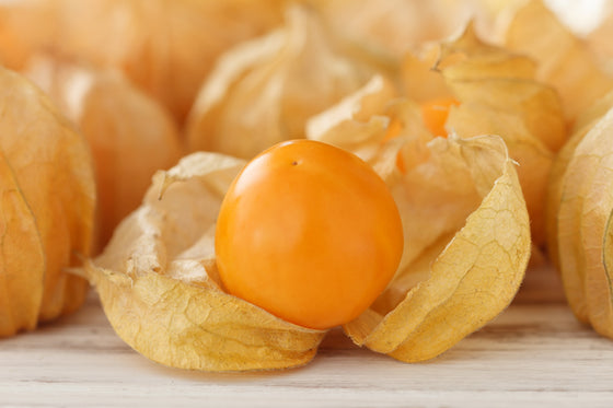 50 Semillas de Uchuva peruana Physalis peruviana