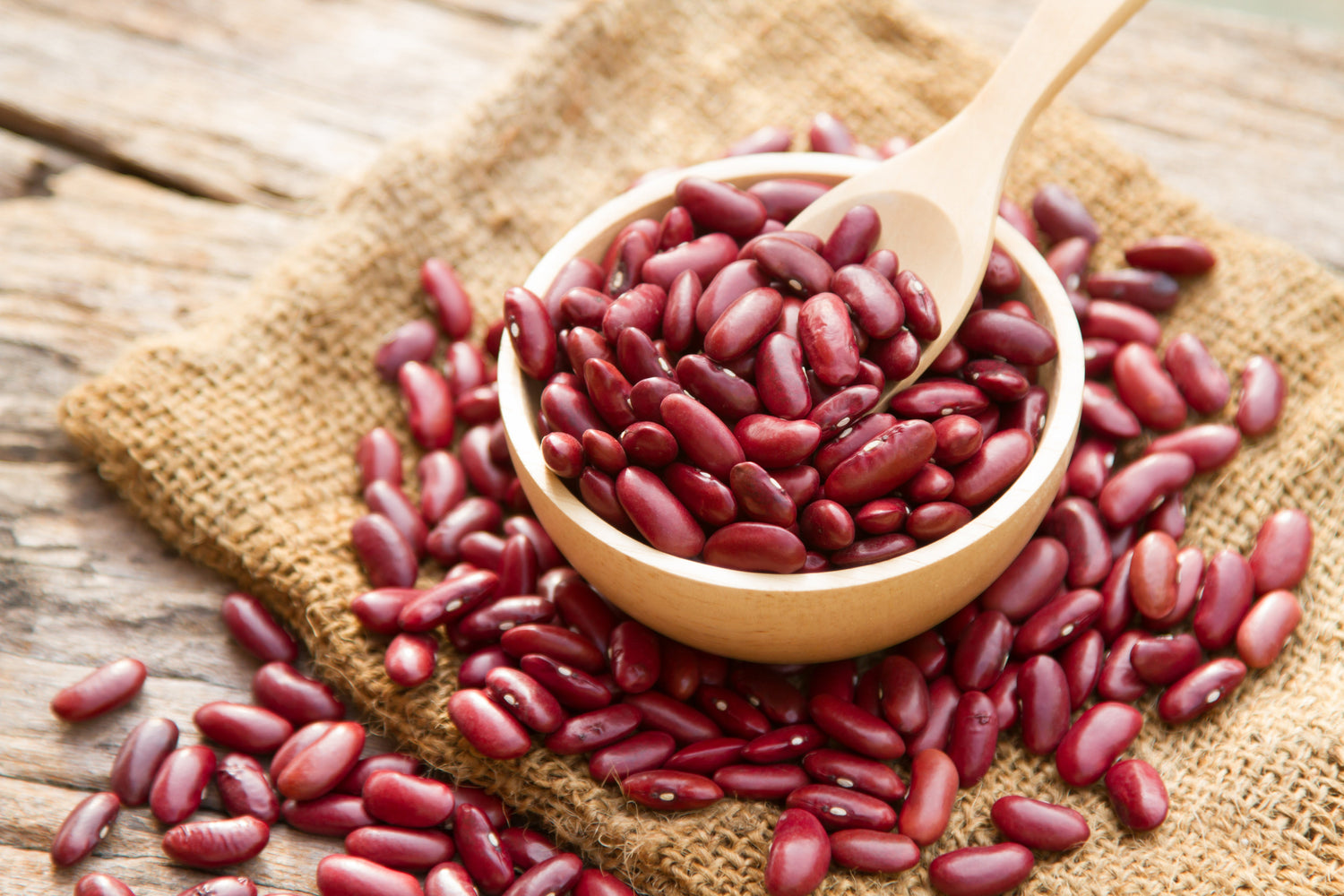 30 semillas de frijol rojo Phaseolus Vulgaris
