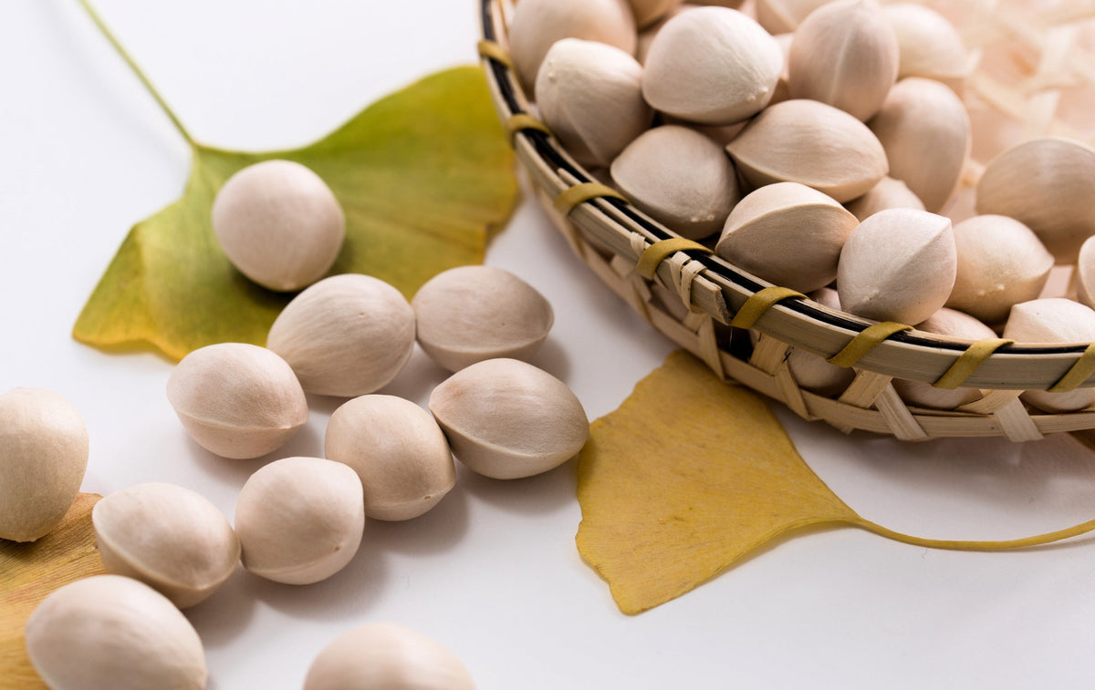 10 semillas de GINKGO BILOBA, árbol de culantrillo, amarillo, naranja otoñal, "fruta"