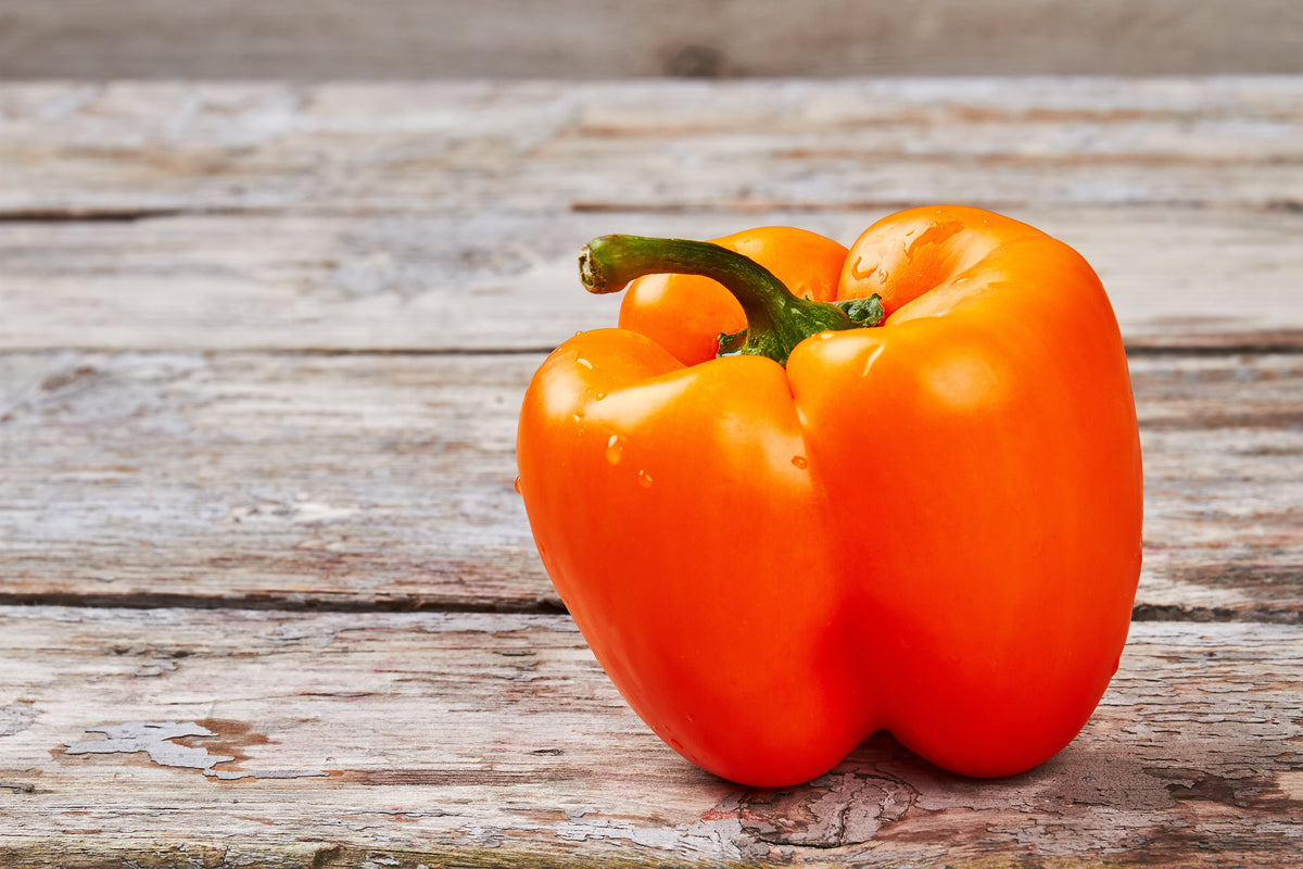 50 semillas de pimiento morrón ORANGE Sun Sweet Capsicum