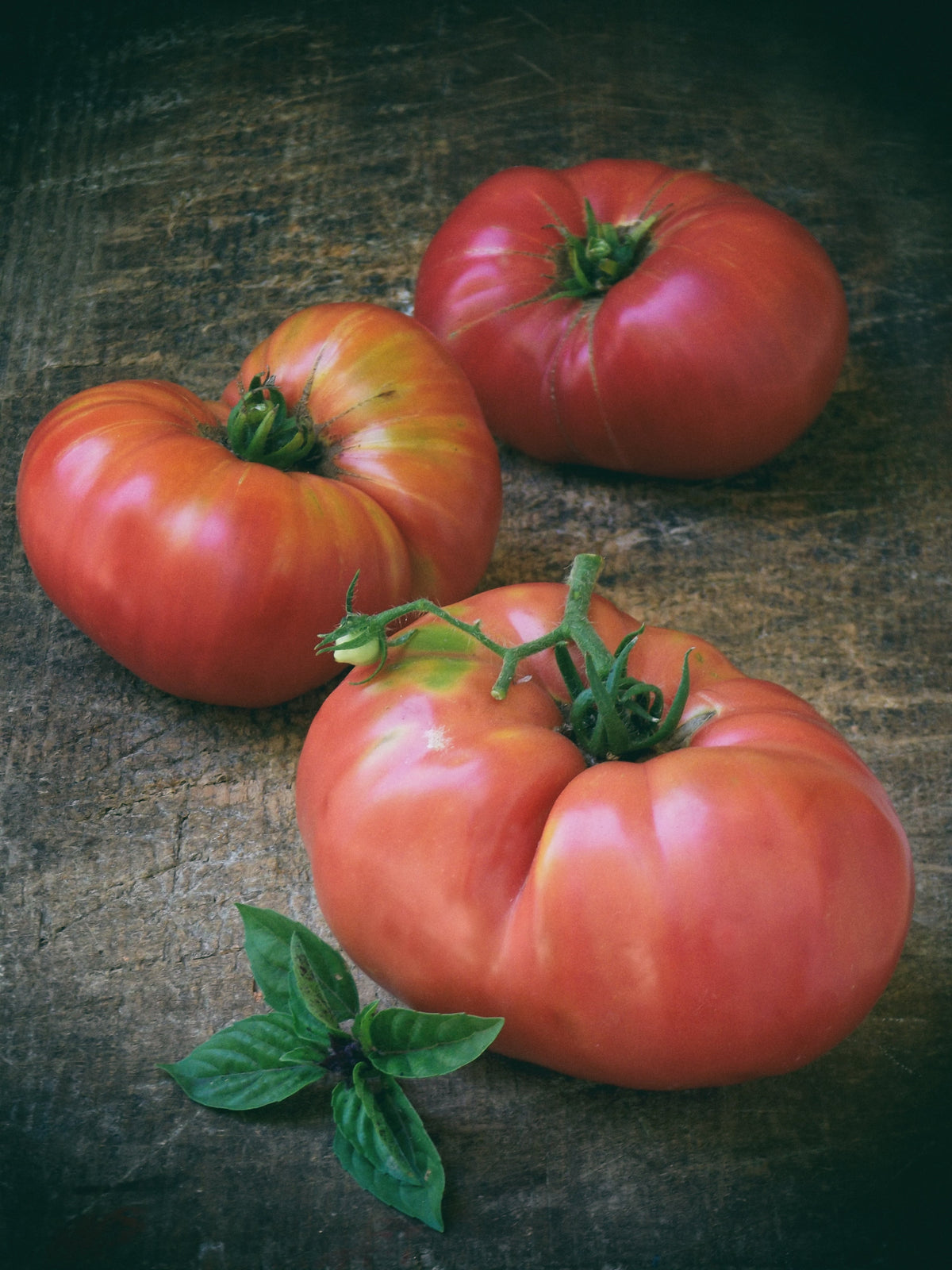 50 semillas gigantes de tomate rosa belga de piel rosada, Lycopersicon, fruta y verdura.
