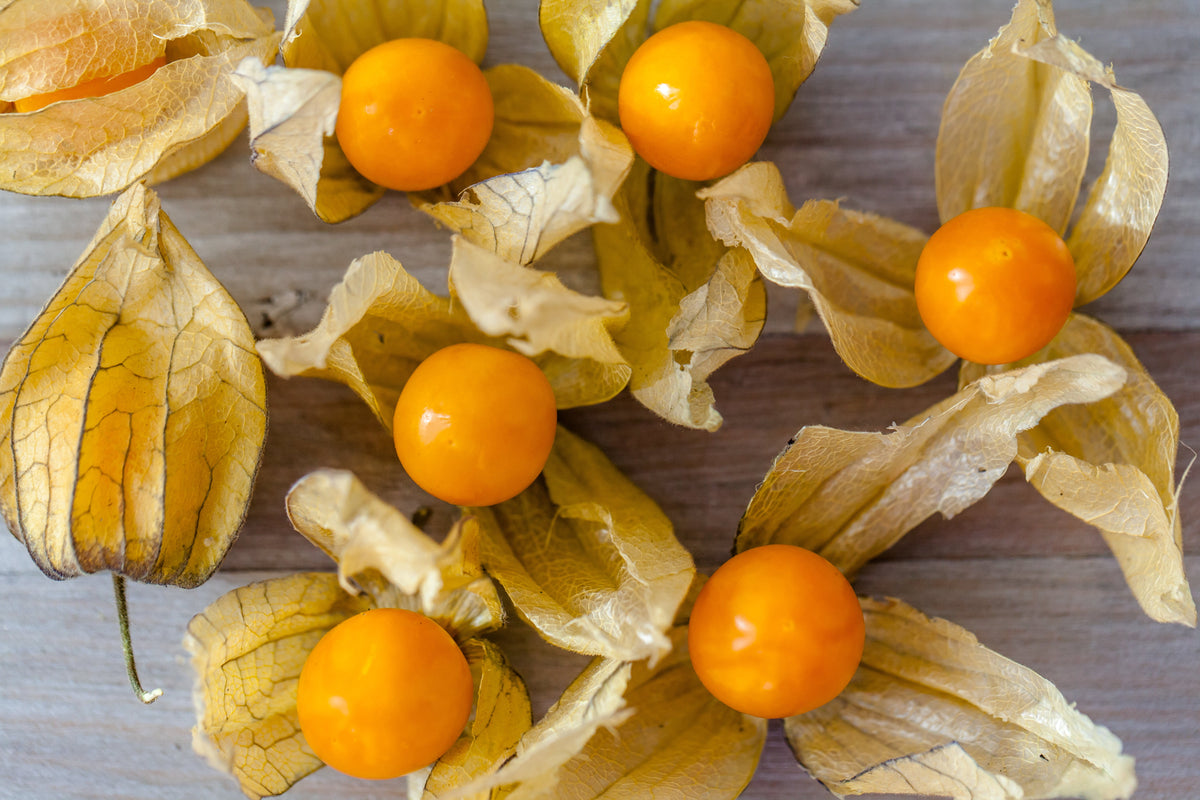 50 PERUVIAN GROUND CHERRY Physalis Peruviana Cape Gooseberry Fruit Veggie Seeds