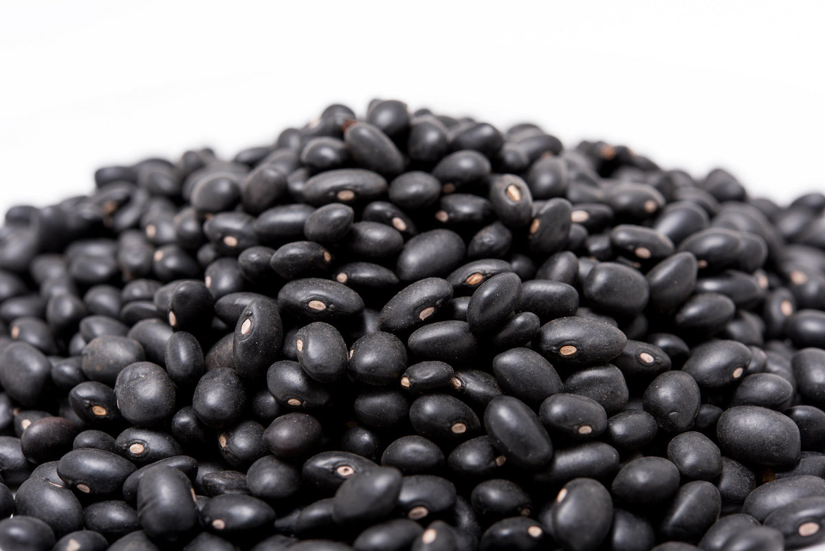 50 semillas de frijol negro (frijol tortuga negro) Phaseolus vulgaris