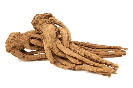 50 semillas de ginseng femenino Dong Quai, hierba china Angelica Sinensis, flores blancas