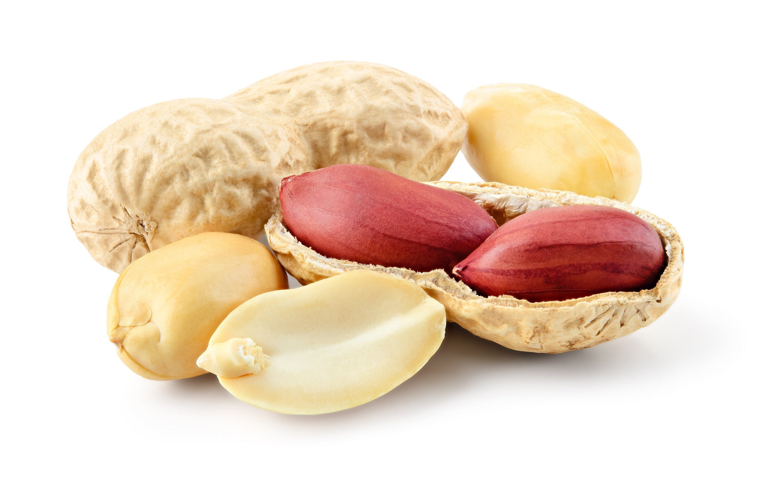 15 Seeds TENNESSEE RED PEANUT Valencia Arachis Hypogaea Perennial Nut Plant