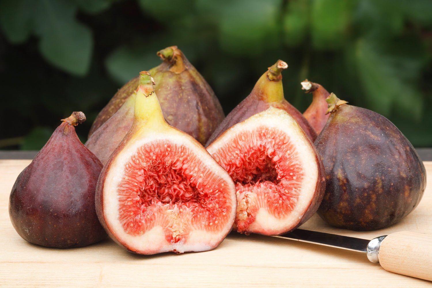 30 Semillas de higuera comestible común Ficus Carica, fruta de piel marrón púrpura y pulpa rosada