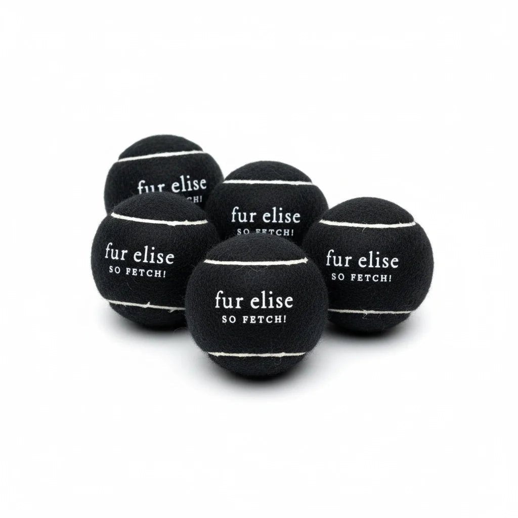 So Fetch! Pelotas de tenis 5 unidades – Noire